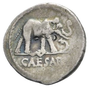 julius caesar elephant ov